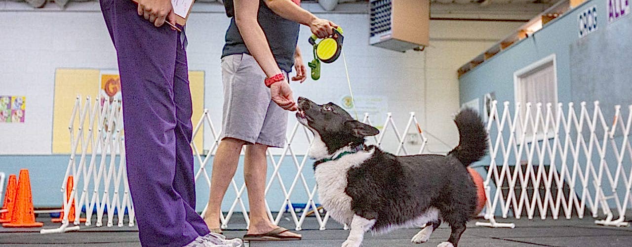 CRCG-181-of-371-1440x800