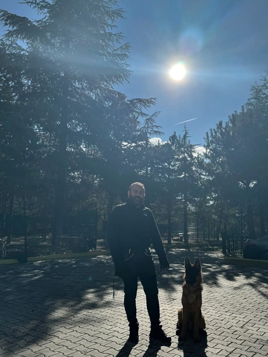 Instagram post from petvillas. This post is in position 1.