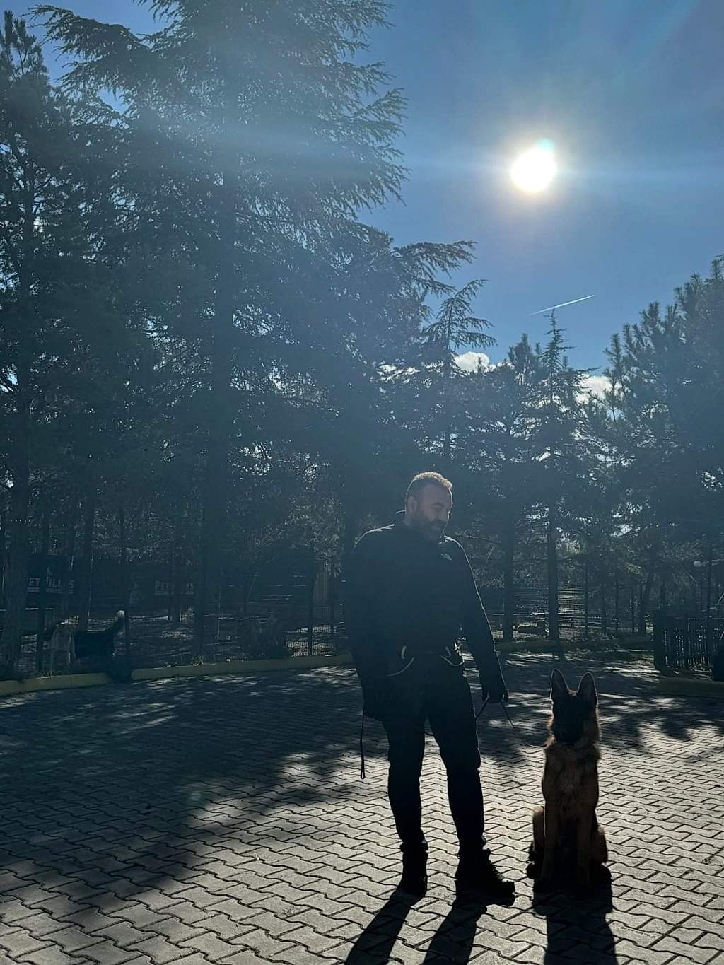 Instagram post from petvillas. This post is in position 0.