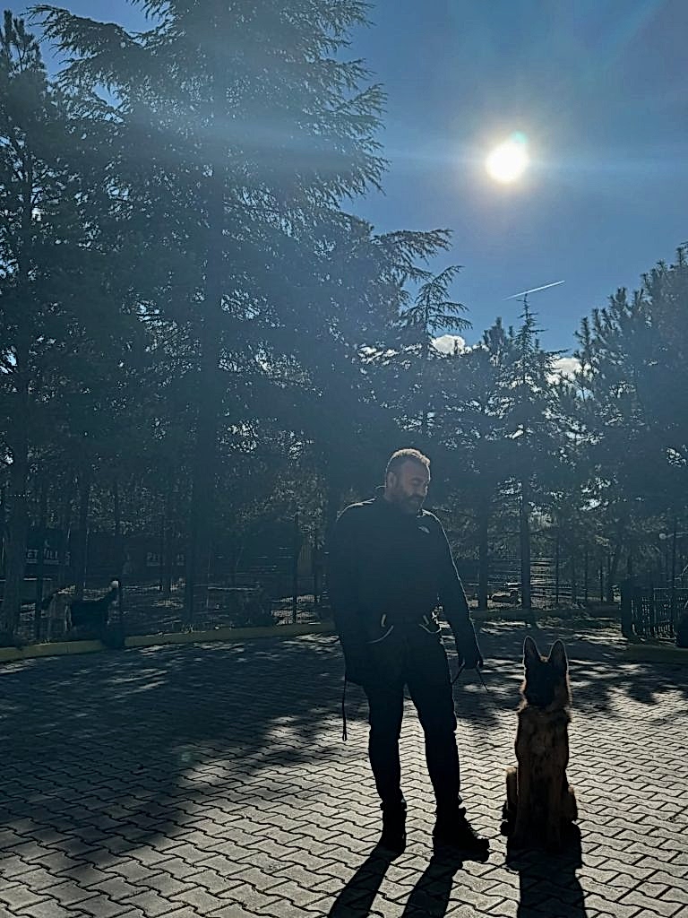 Instagram post from petvillas. This post is in position 10.